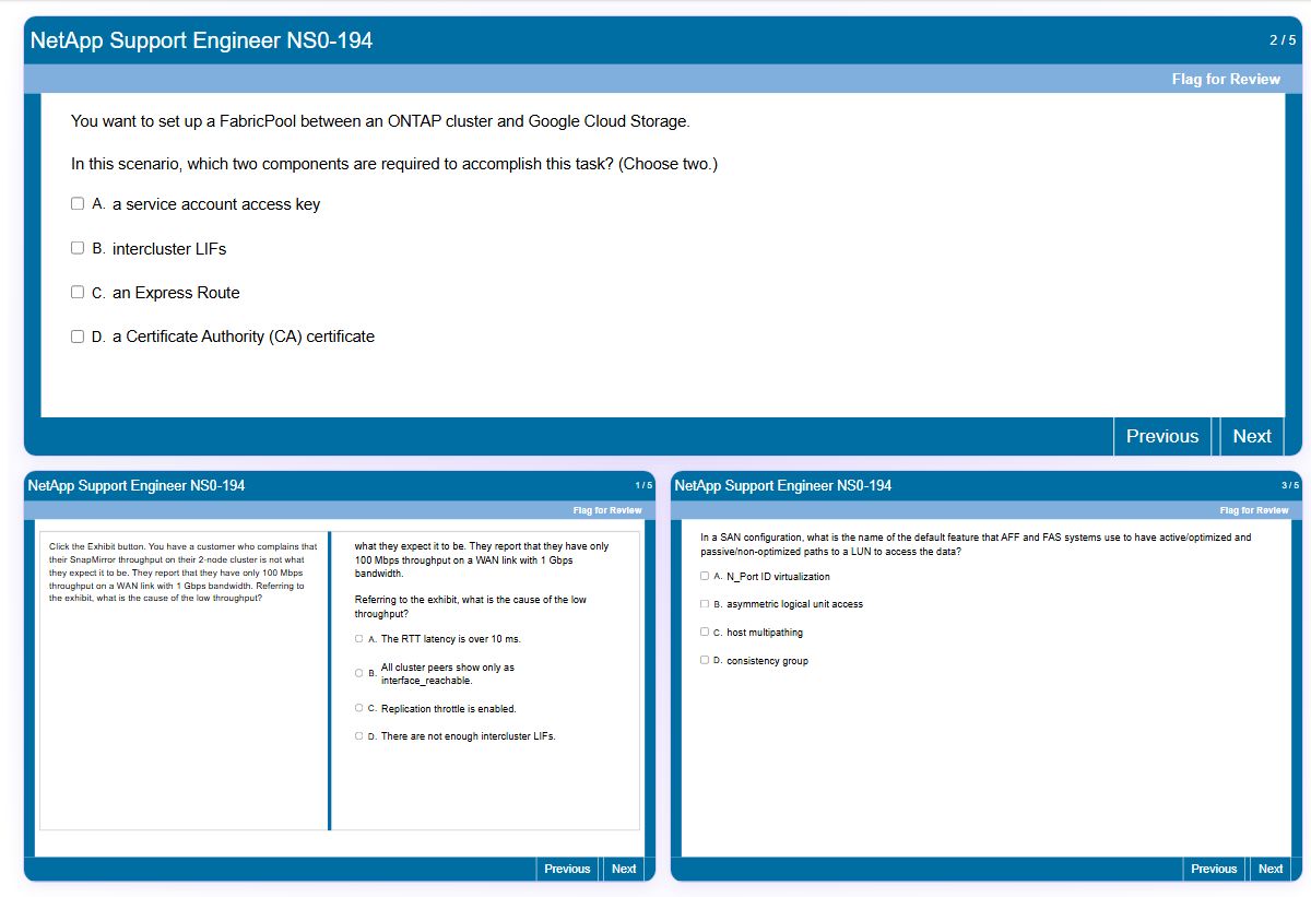 Previews from the NetApp Support Engineer NS0-194 free simulator sample