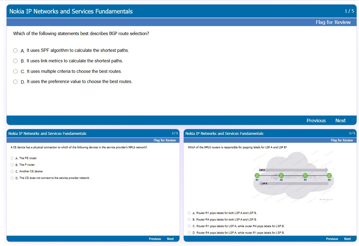 Previews from the IP Networks and Services Fundamentals free simulator sample
